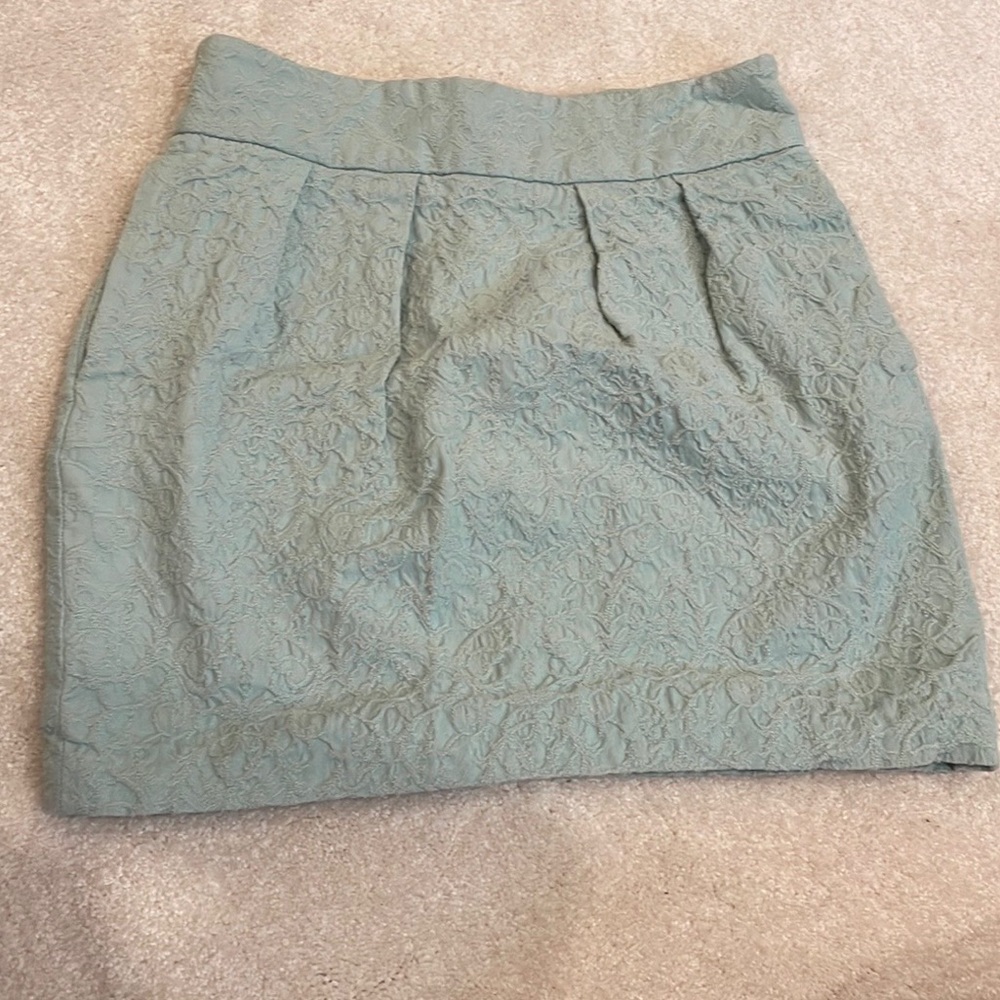 Zara Embroidered Mini Skirt